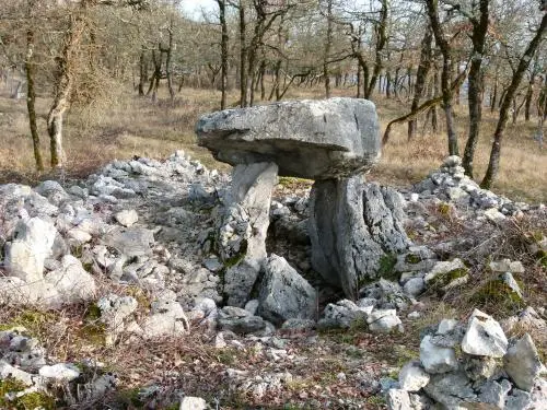 12支が掘られたテーブル